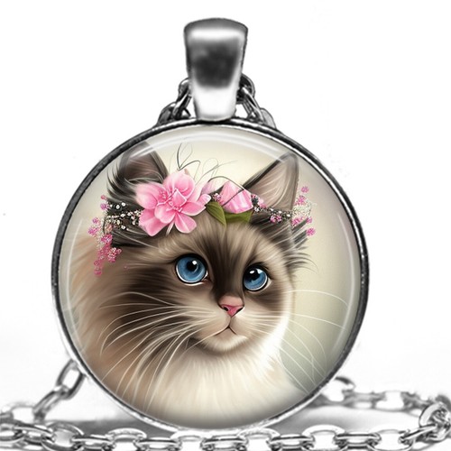 Ragdoll seal point cat - seal, floral
